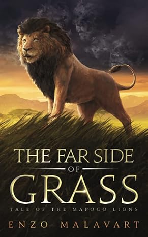 the far side of grass tale of the mapogo lions 1st edition enzo malavart 295803271x, 978-2958032715