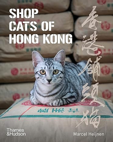 shop cats of hong kong /anglais 1st edition heijnen marcel 0500296235, 978-0500296233