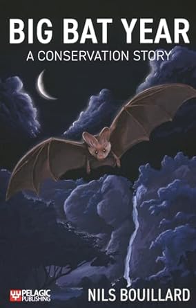 big bat year a conservation story 1st edition nils bouillard 1784273104, 978-1784273101