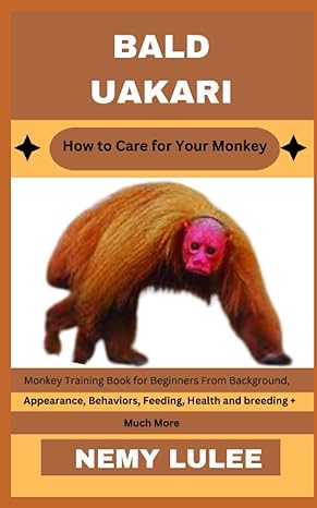 bald uakari how to care for your monkey monkey training book for beginners from background appearance