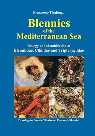 blennies of the mediterranean sea biology and identification of blenniidae clinidae tripterygiidae 1st