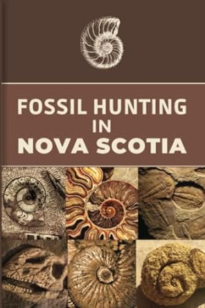fossil hunting in nova scotia for local rockhounds and amateur paleontologists keep track and accurate record