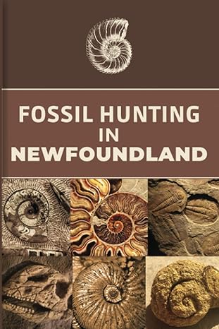 fossil hunting in newfoundland for local rockhounds and amateur paleontologists keep track and accurate