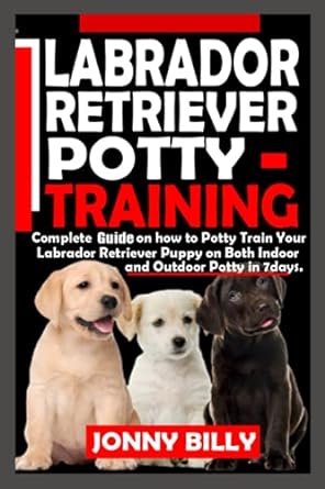 labrador retriever potty training complete guide on how to potty train your labrador retriever puppy on both