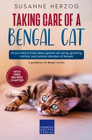 taking care of a bengal cat all you need to know about general cat caring grooming nutrition and common
