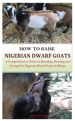 how to raise nigerian dwarf goats a comprehensive guide on breeding housing and caring for nigerian dwarf