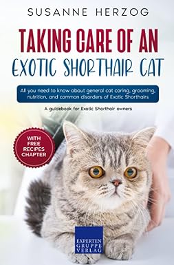 taking care of an exotic shorthair cat all you need to know about general cat caring grooming nutrition and