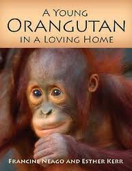 a young orangutan in a loving home 1st edition francine neago ,esther kerr 0977681904, 978-0977681907