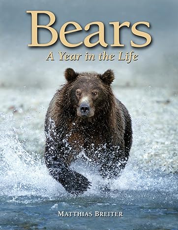 bears a year in the life 1st edition matthias breiter 1554074614, 978-1554074617