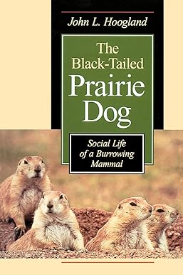 the black tailed prairie dog social life of a burrowing mammal 1st edition john l hoogland 0226351181,
