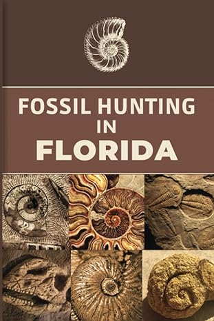 fossil hunting in florida for local rockhounds and amateur paleontologists keep track and accurate record of