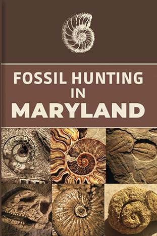 fossil hunting in maryland for local rockhounds and amateur paleontologists keep track and accurate record of