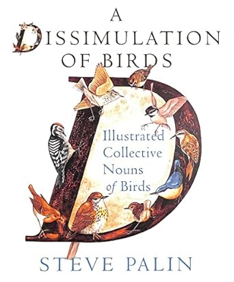 a dissimulation of birds 1st edition steve palin 0754102904, 978-0754102908