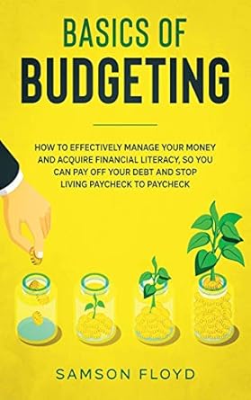 basics of budgeting how to effectively manage your money and acquire financial literacy so you can stop