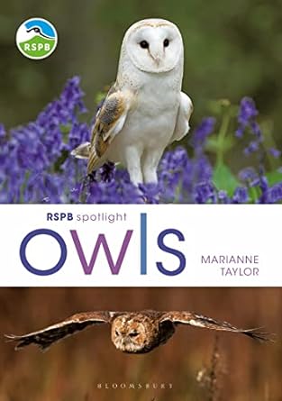 rspb spotlight owls 1st edition marianne taylor 147298028x, 978-1472980281
