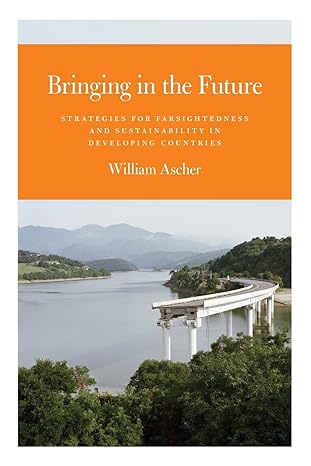 bringing in the future strategies for farsightedness and sustainability in developing countries 1st edition