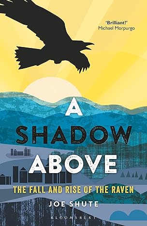 a shadow above the fall and rise of the raven 1st edition joe shute 1472940296, 978-1472940292