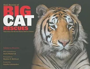 real stories of big cat rescues tales from the exotic feline rescue center 1st edition melanie bowlin