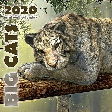 big cats 2020 mini wall calendar 1st edition wall publishing 1642525227, 978-1642525229