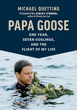 papa goose one year seven goslings and the flight of my life 1st edition michael quetting ,jane billinghurst