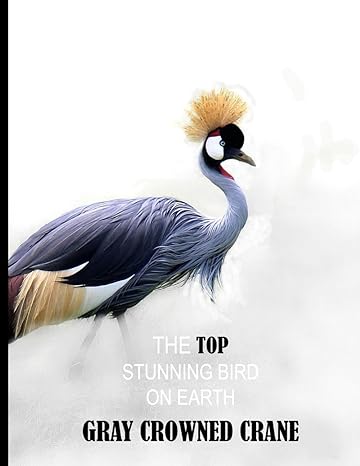 the top stunning bird on earth gray crowned crane natures crown jewel the enchanting gray crowned crane 40