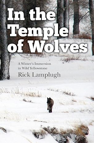 in the temple of wolves a winters immersion in wild yellowstone 1st edition rick lamplugh 1490372059,
