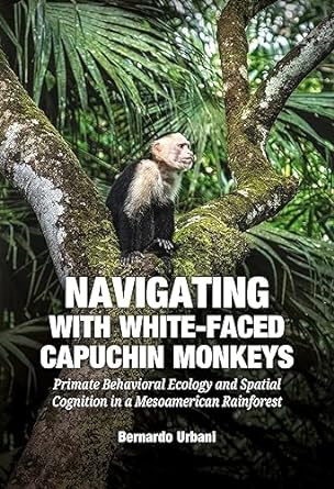 navigating with white faced capuchin monkeys primate behavioral ecology and spatial cognition in a