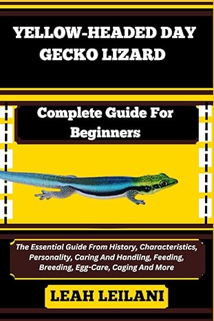 yellow headed day gecko lizard complete guide for beginners the essential guide from history characteristics