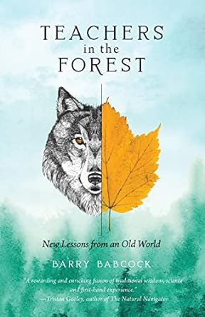 teachers in the forest new lessons from an old world 2nd edition barry babcock ,daniel j rice 1736089439,