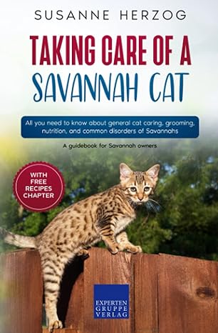 taking care of a savannah cat all you need to know about general cat caring grooming nutrition and common