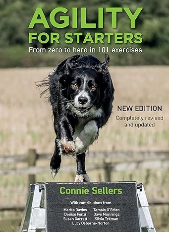 agility for starters from zero to hero in 101 exercises 1st edition connie sellers 1910488607, 978-1910488607