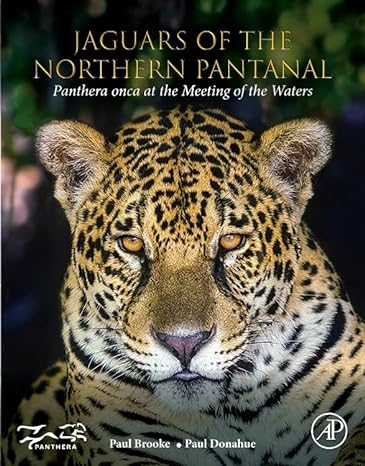 jaguars of the northern pantanal panthera onca at the meeting of the waters 1st edition paul brooke ,paul