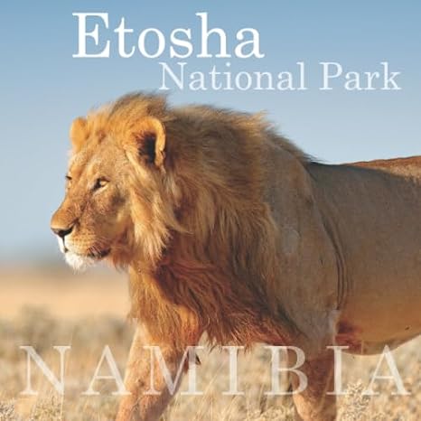 etosha national park the guidebook 1st edition bryony van der merwe ,monica spall b084dg66gb, 979-8606003129