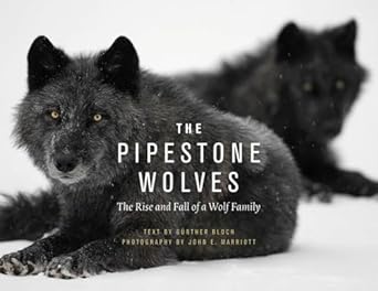 the pipestone wolves the rise and fall of a wolf family 1st edition gunther bloch ,john e marriott ,mike