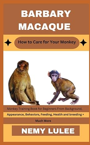 barbary macaque how to care for your monkey monkey training book for beginners from background appearance
