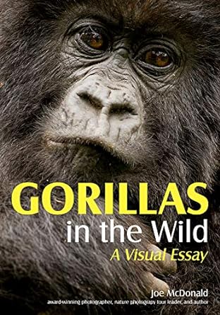 gorillas in the wild a visual essay 1st edition joe mcdonald 1682033961, 978-1682033968