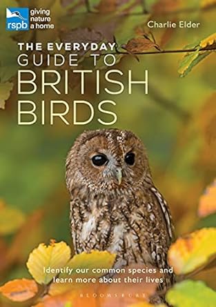 the everyday guide to british birds identify our common species and learn more about their lives 1st edition