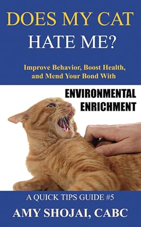 does my cat hate me improve behavior boost health and mend your bond with environmental enrichment 1st