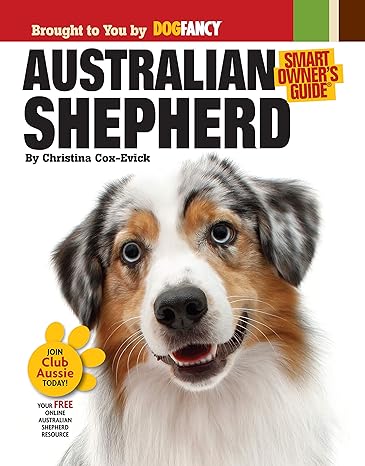 Australian Shepherd Dog Aussie Origins Care House Training Health Concerns Bad Behavior Solutions Activities True Stories From Owners And More