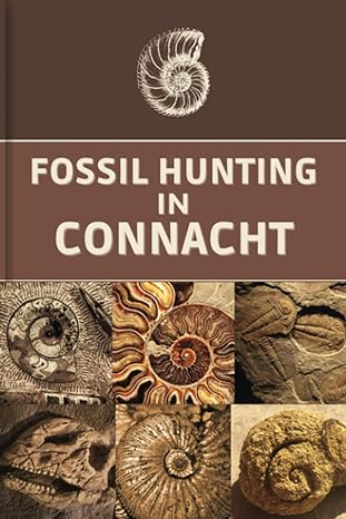 fossil hunting in connacht for local rockhounds and amateur paleontologists keep track and accurate record of