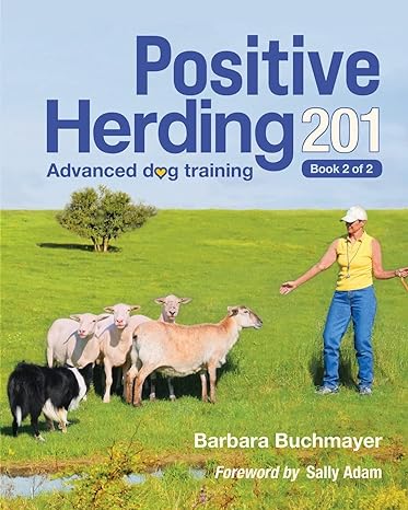 positive herding 201 advanced dog training 1st edition barbara buchmayer 1736844342, 978-1736844342