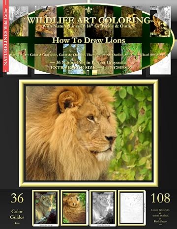 how to draw lions easy 1 2 3 color a grayscale color an outline then follow an outline and color that 1st