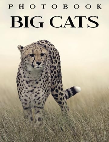 picture book of big cats compelling photos of big cats collection as a perfect gift idea for family relatives