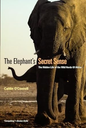 the elephants secret sense the hidden life of the wild herds of africa 1st edition caitlin o'connell