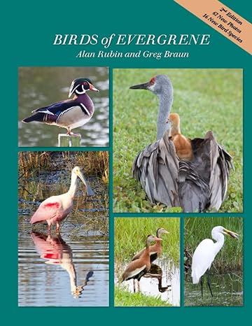 birds of evergrene second edition 1st edition alan rubin ,greg braun b0c47tv5dq, 979-8393021290