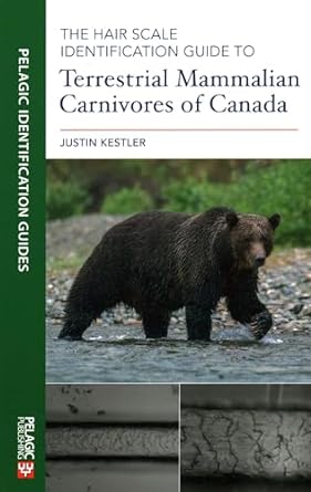 the hair scale identification guide to terrestrial mammalian carnivores of canada 1st edition justin kestler