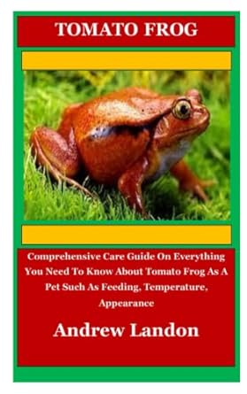 tomato frog comprehensive care guide on everything you need to know about tomato frog as a pet such as