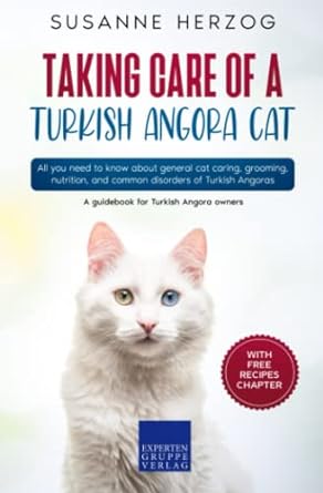 taking care of a turkish angora cat all you need to know about general cat caring grooming nutrition and