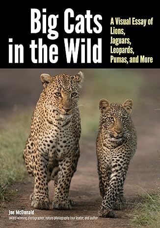 big cats in the wild a visual essay of lions jaguars leopards pumas and more 1st edition joe mcdonald