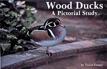 wood ducks a pictorial study 1st edition tricia veasey 0887401554, 978-0887401558